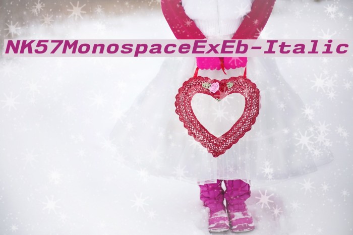 NK57MonospaceExEb-Italic Font examples