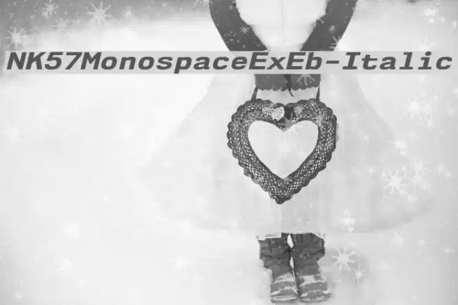 NK57MonospaceExEb-Italic  examples