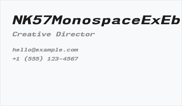 NK57MonospaceExEb-Italic Business Card