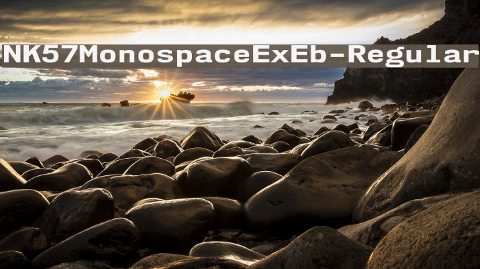 NK57MonospaceExEb-Regular Font examples