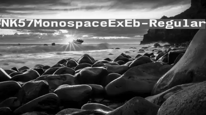NK57MonospaceExEb-Regular Font examples
