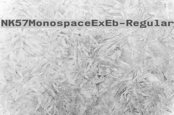 NK57MonospaceExEb-Regular Font examples