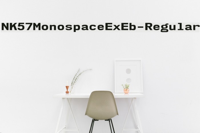 NK57MonospaceExEb-Regular Font examples