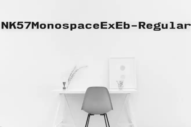 NK57MonospaceExEb-Regular Font examples