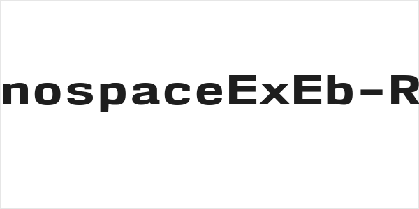 NK57MonospaceExEb-Regular Logo