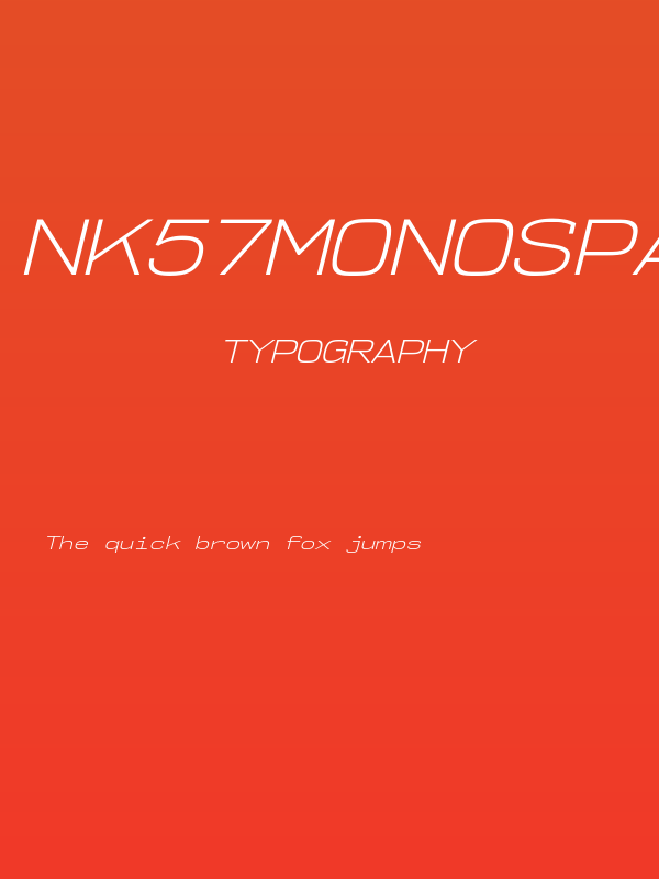 NK57MonospaceExLt-Italic Poster