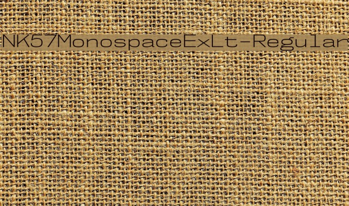 NK57MonospaceExLt-Regular Font examples