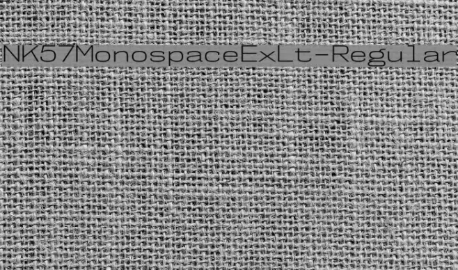 NK57MonospaceExLt-Regular Example 3