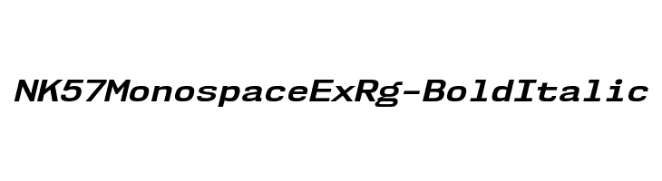 NK57MonospaceExRg-BoldItalic Font