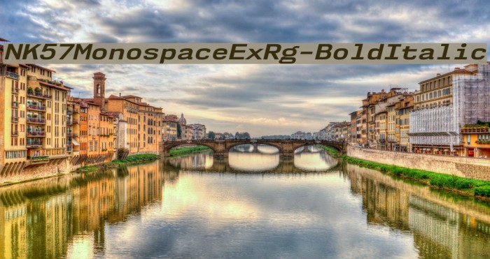 NK57MonospaceExRg-BoldItalic Font examples