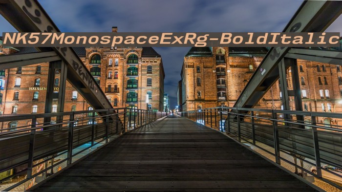 NK57MonospaceExRg-BoldItalic Font examples
