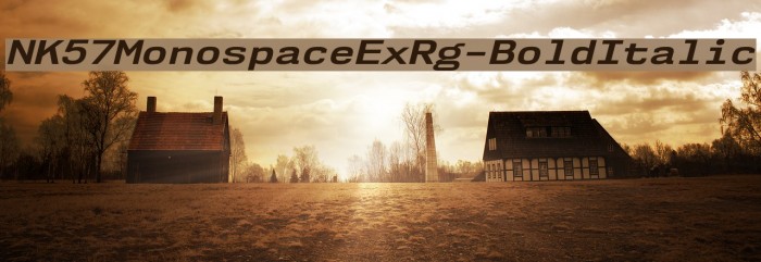 NK57MonospaceExRg-BoldItalic Font examples
