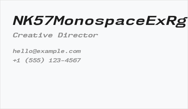 NK57MonospaceExRg-BoldItalic Business Card