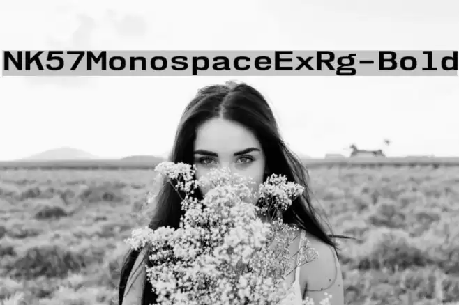 NK57MonospaceExRg-Bold Font examples