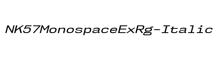 NK57MonospaceExRg-Italic Font