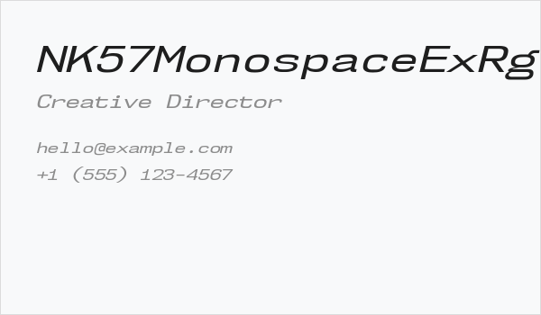 NK57MonospaceExRg-Italic Business Card