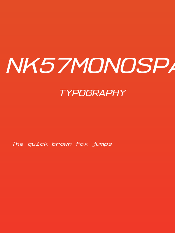 NK57MonospaceExRg-Italic Poster