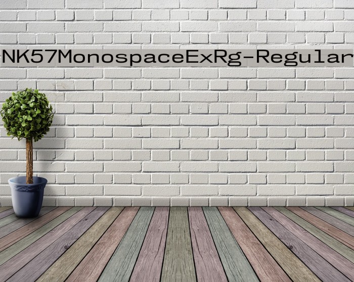 NK57MonospaceExRg-Regular Font examples