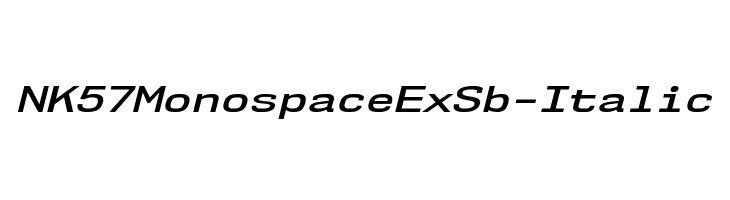 NK57MonospaceExSb-Italic Font