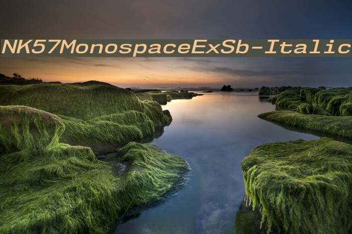 NK57MonospaceExSb-Italic Font examples