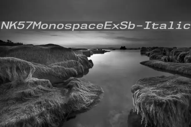 NK57MonospaceExSb-Italic Example 2