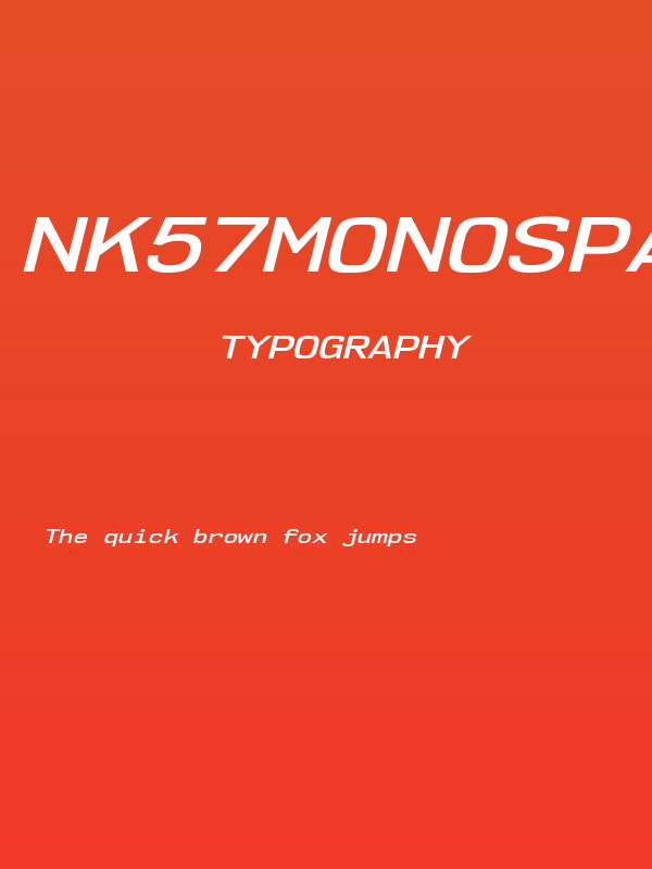 NK57MonospaceExSb-Italic Poster