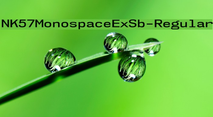 NK57MonospaceExSb-Regular Font examples