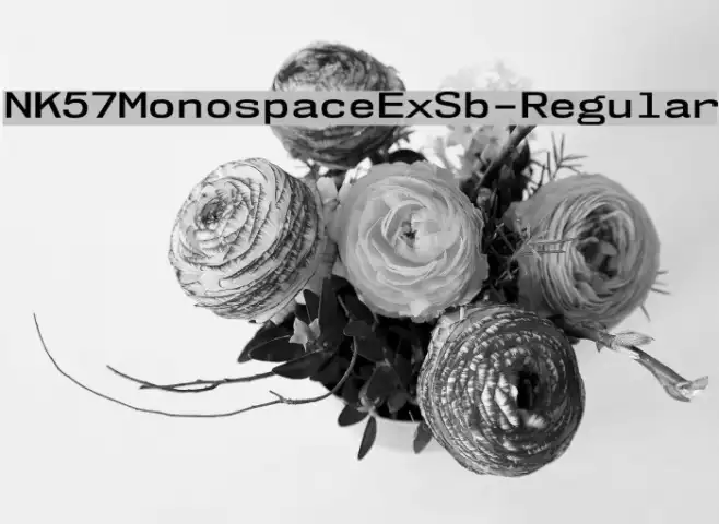 NK57MonospaceExSb-Regular Example 3