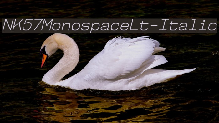 NK57MonospaceLt-Italic Font examples
