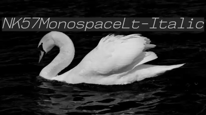 NK57MonospaceLt-Italic examples