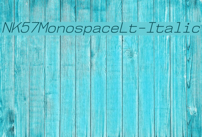 NK57MonospaceLt-Italic Font examples