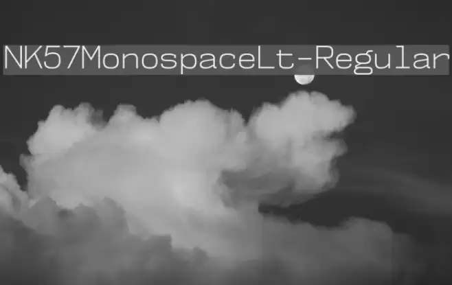 NK57MonospaceLt-Regular Font examples