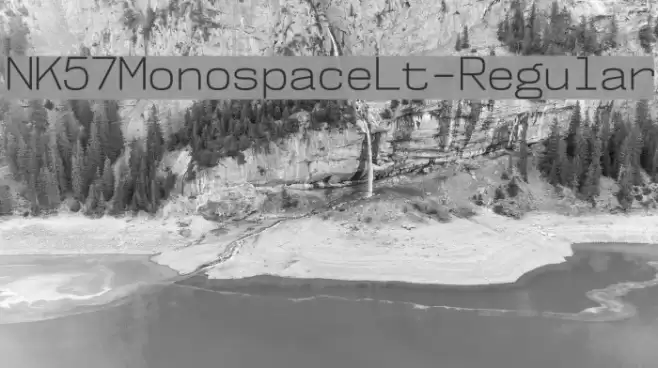 NK57MonospaceLt-Regular Font examples