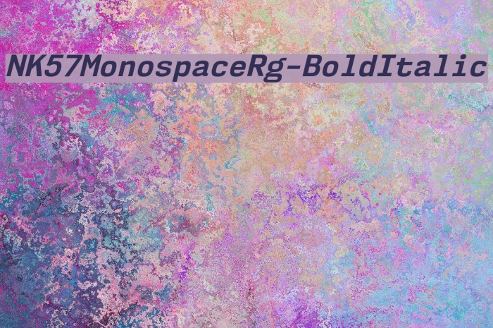 NK57MonospaceRg-BoldItalic Font examples