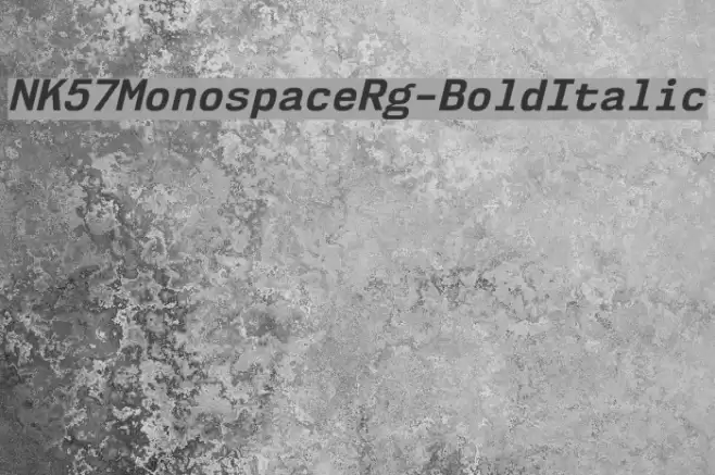 NK57MonospaceRg-BoldItalic Font examples