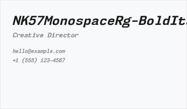 NK57MonospaceRg-BoldItalic Business Card