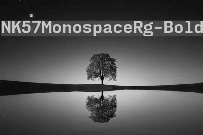 NK57MonospaceRg-Bold Font examples