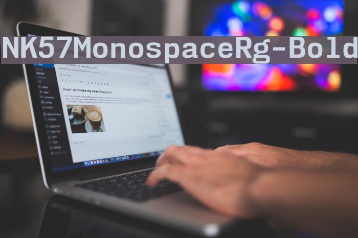 NK57MonospaceRg-Bold Font examples