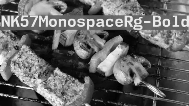 NK57MonospaceRg-Bold Font examples
