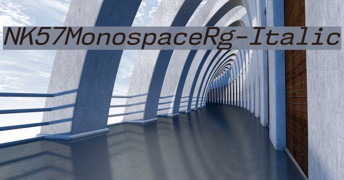 NK57MonospaceRg-Italic Font examples