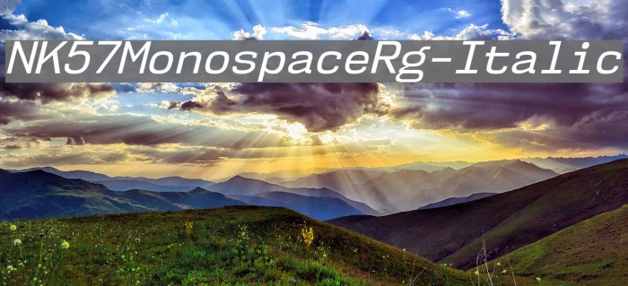 NK57MonospaceRg-Italic Font examples