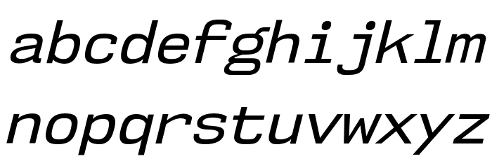 NK57MonospaceRg-Italic Font LOWERCASE