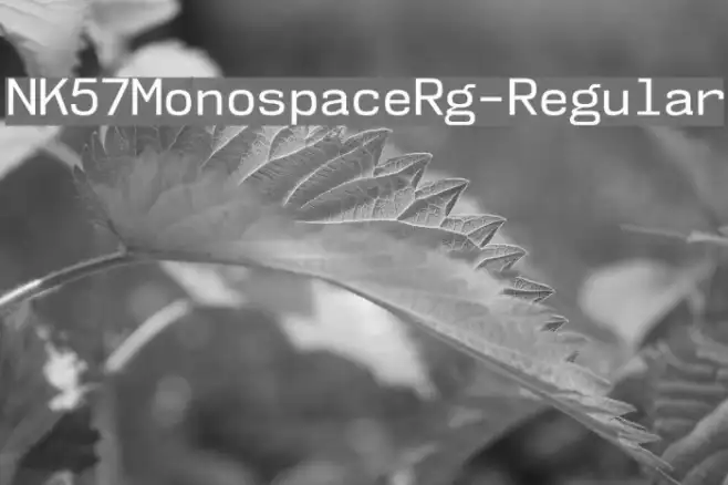 NK57MonospaceRg-Regular Example 2
