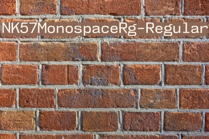 NK57MonospaceRg-Regular Font examples