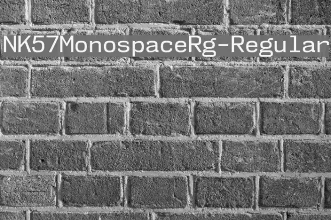 NK57MonospaceRg-Regular Example 3