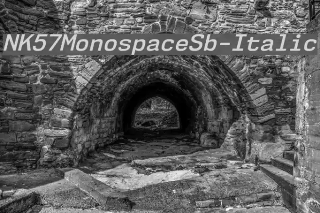 NK57MonospaceSb-Italic Font examples