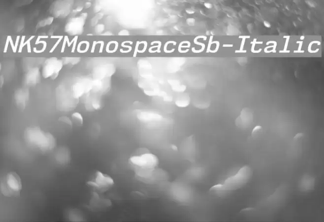 NK57MonospaceSb-Italic Font examples