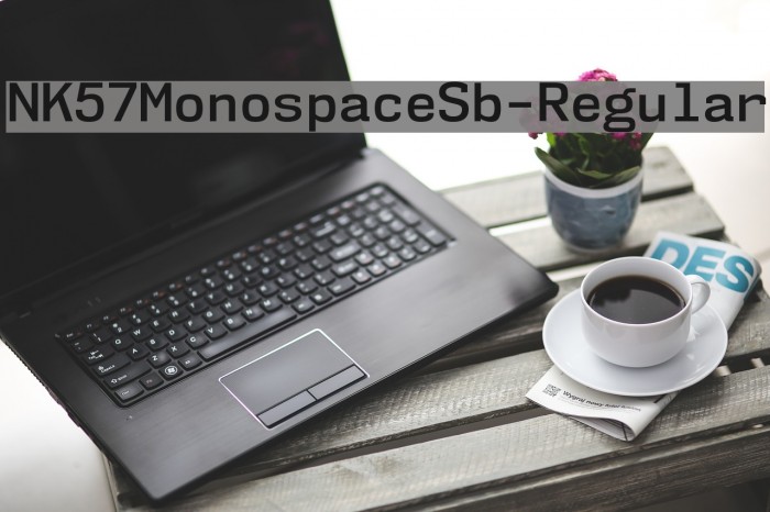 NK57MonospaceSb-Regular Font examples