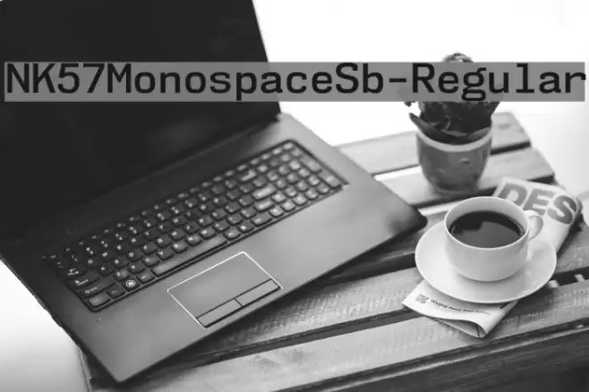 NK57MonospaceSb-Regular Example 1