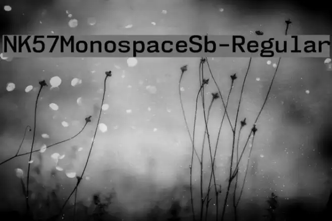NK57MonospaceSb-Regular Example 2